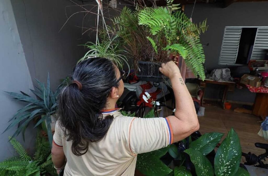 Mato grosso do sul intensifica Combate à Dengue com 'Dia d' estadual