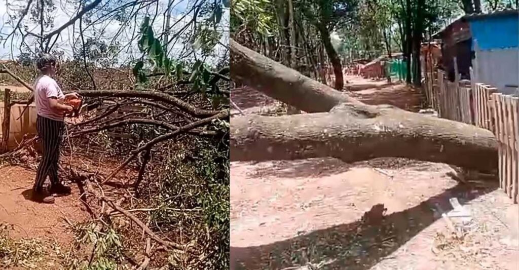 Chuva forte causa estragos e Moradores agem por conta própria em campo grande