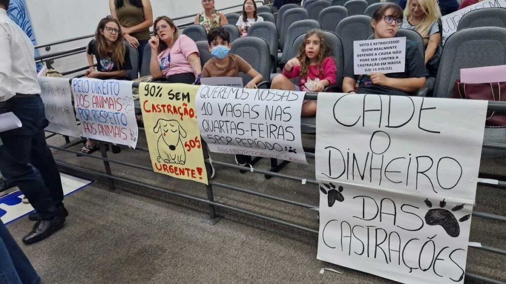Campo grande aprova Projeto para castrar até 2,8 mil animais por mês