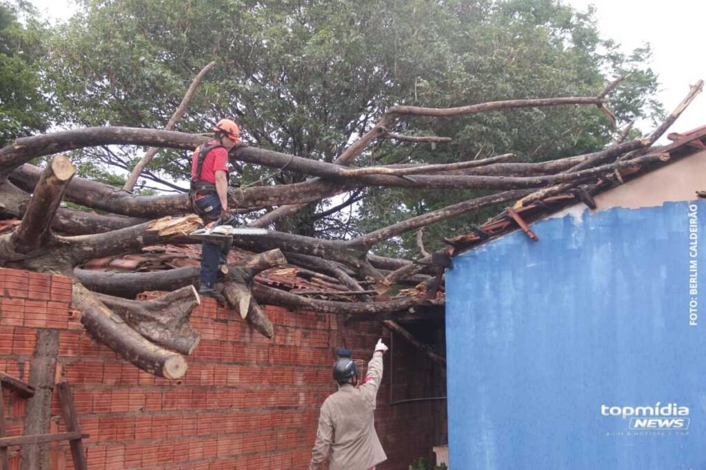 Idoso escapa de ferimentos graves após árvore atingir casa em Campo Grande
