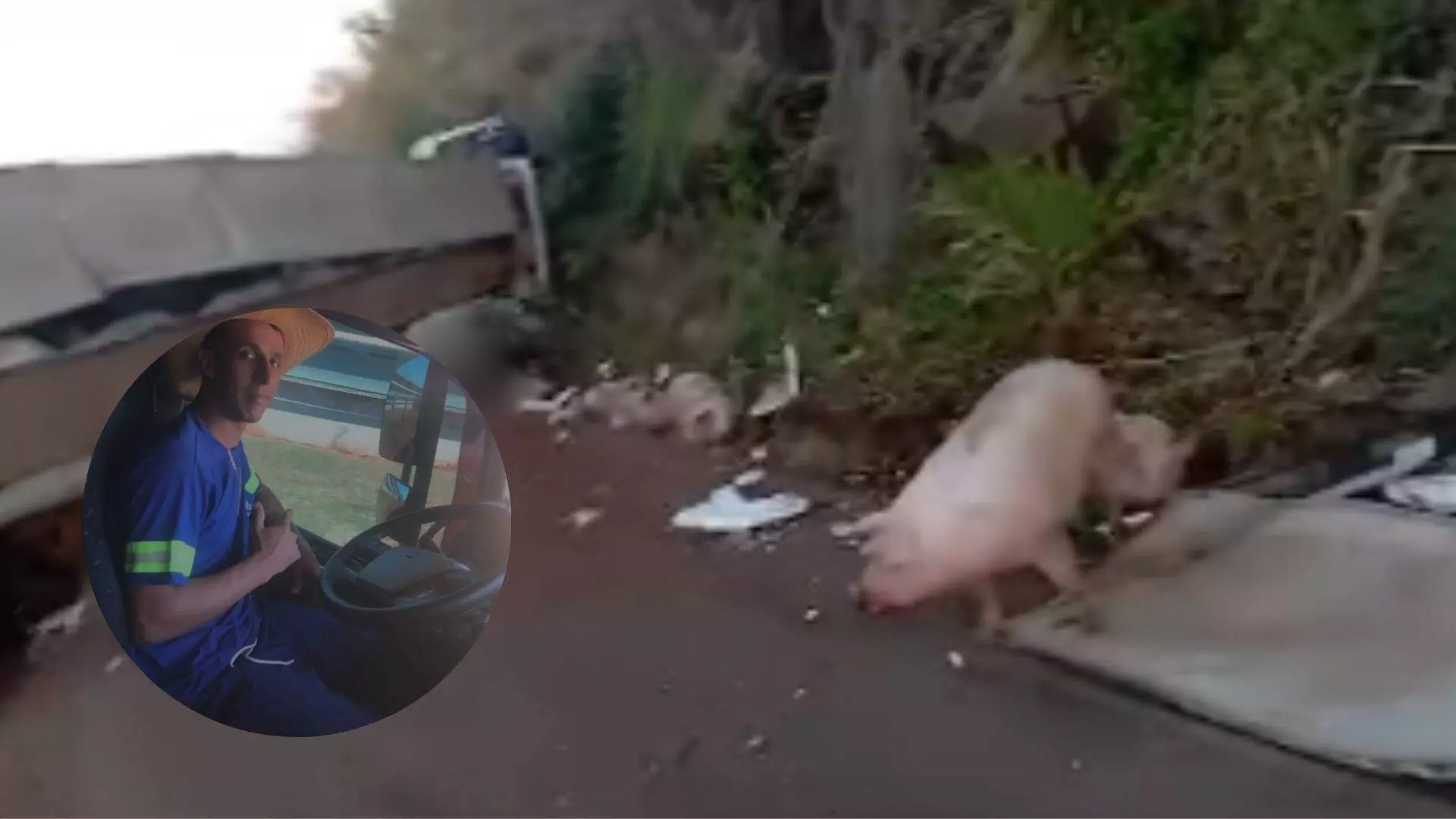(Reprodução: Sidnei Bronka e Redes Sociais)
