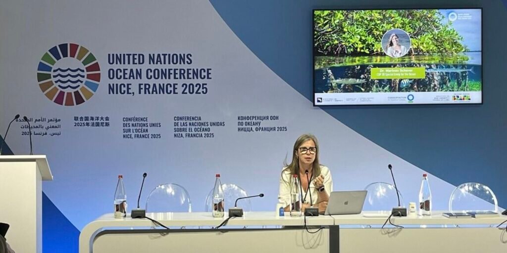 Cop30: especialista urge aumento do financiamento para a saúde dos Oceanos