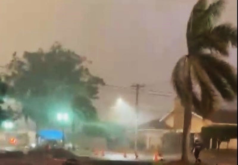 Palmeira dobrada pelo vento forte durante tempestade noturna.