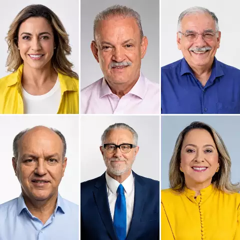 Grade de retratos de seis pessoas sorridentes, homens e mulheres.
