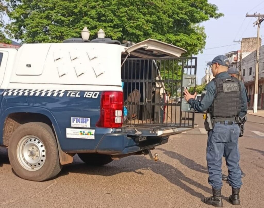 Policial militar fardado ao lado de viatura com compartimento aberto.
