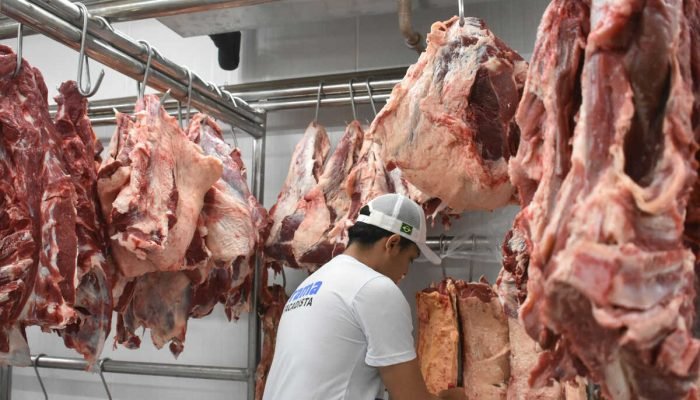 Exportação de carne bovina aumenta em MS e resultados da Dupla Sena e Lotomania são divulgados