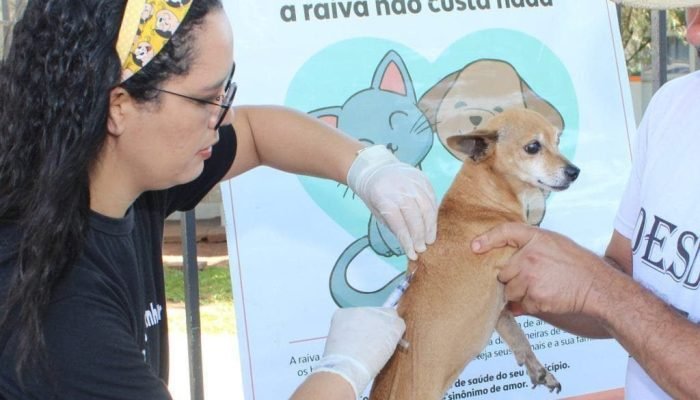 051124-prefeitura-de-navirai-realiza-campanha-antirrabica-nos-dias-09-e-23-de-novembro-2-1024x682