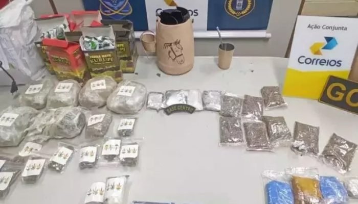 Maconha "de playboy" avaliada em R$ 900 mil é apreendida em MS