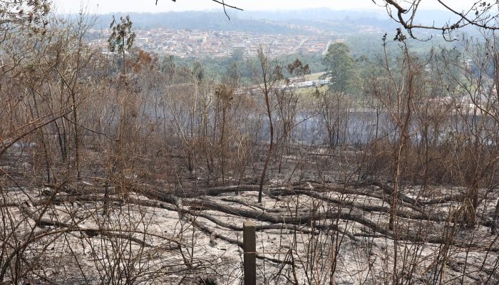 Oxfam Brasil revela desigualdade no financiamento climático e alerta para racismo ambiental