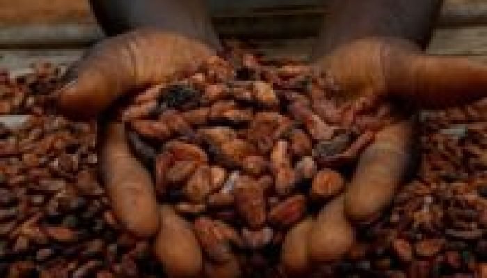 1-tagreuters.com2025binary_LYNXNPEL910YG-BASEIMAGE