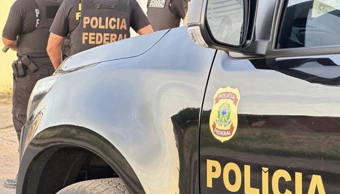 PF deflagra operação contra extração ilegal de madeira em Terras Indígenas