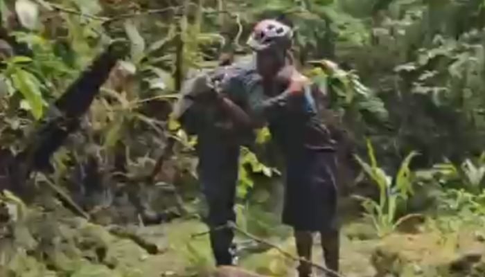 Gilberto Alves de Almeida e Carlos Gomes Pereira se perderam em trilha — Foto: G