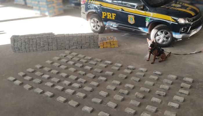 PRF apreende 386 kg de cocaína em carga de cimento no Indubrasil