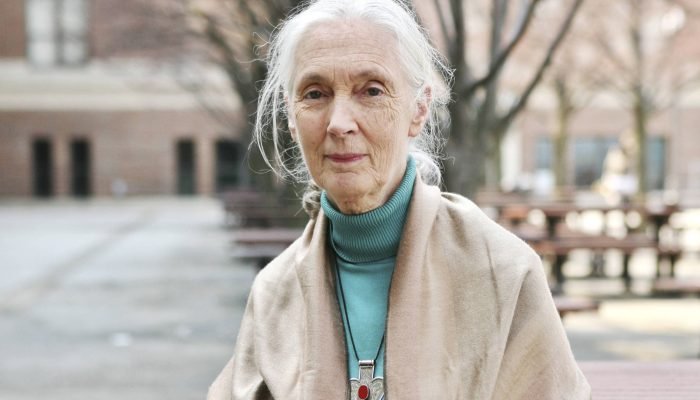 Lições de Jane Goodall para uma vida longa e ativa