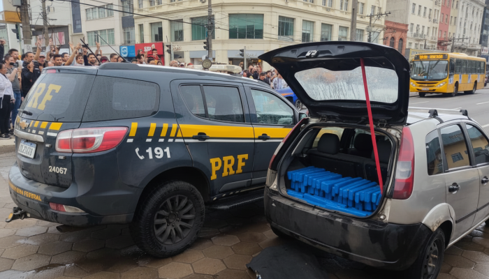 Polícia apreende 238 quilos de maconha em Bataguassu e prende suspeito