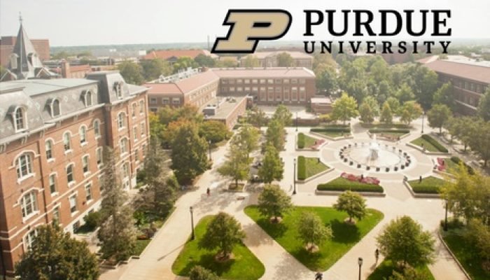 Foto: Foto: Montagem (Divulgação)