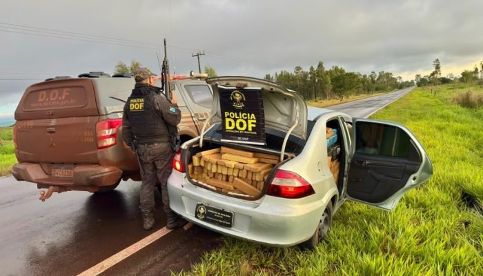 DOF apreende mais de 1,1 tonelada de maconha em Ponta Porã