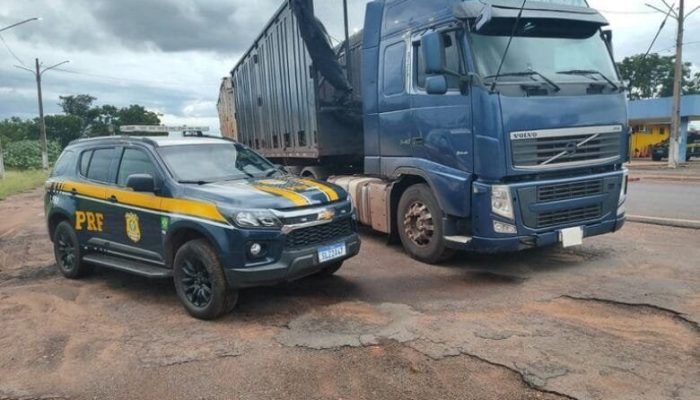 Os agentes fiscalizavam na BR-262, quando abordaram o caminhão - Crédito: Divulgação