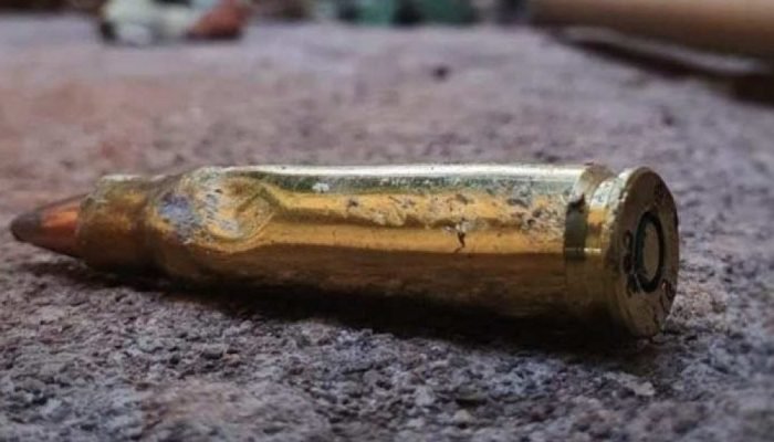 1_bala_fuzil-6974334