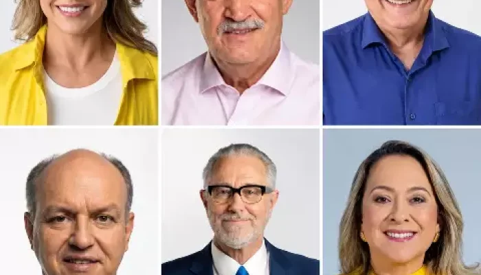 Grade de retratos de seis pessoas sorridentes, homens e mulheres.