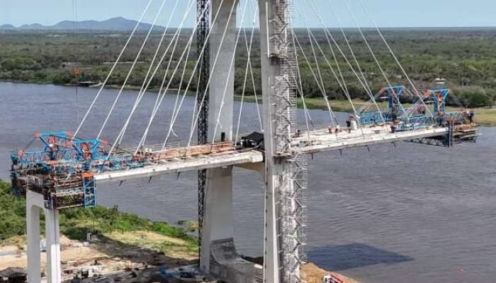 Mercosul: atuação sem diploma passa a valer