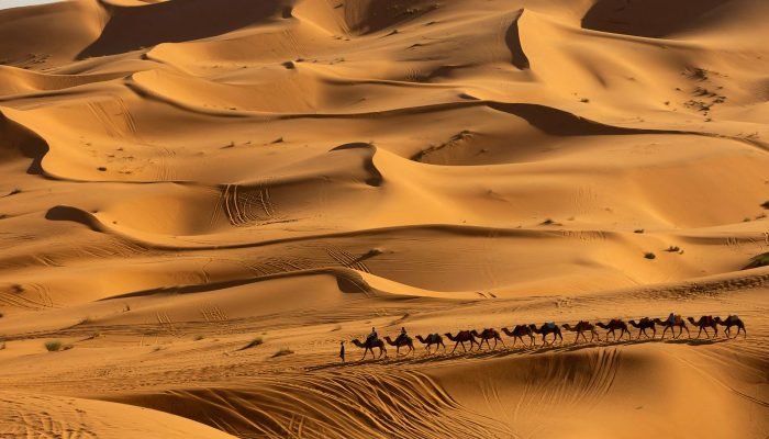 Estudo prevê aumento significativo de chuvas no Deserto do Saara