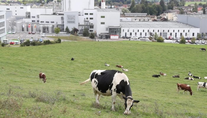Nestlé sai de aliança global para conter emissões de metano