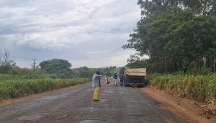 Manutenção da MS-141 entre Ivinhema e Naviraí é Iniciada