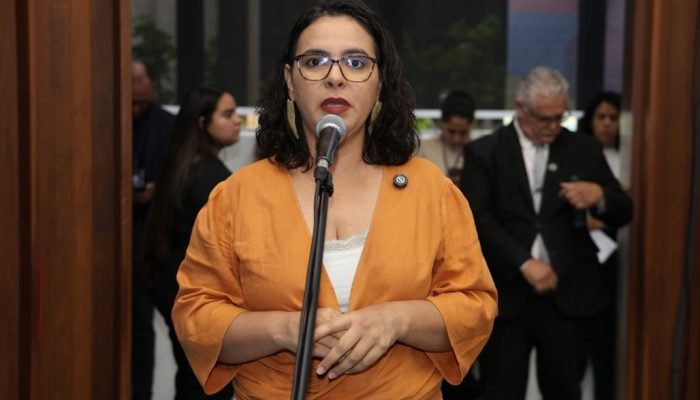 A Assembleia Legislativa do Mato Grosso do Sul (ALEMS) recebeu, na manhã de 5 de dezembro, re...