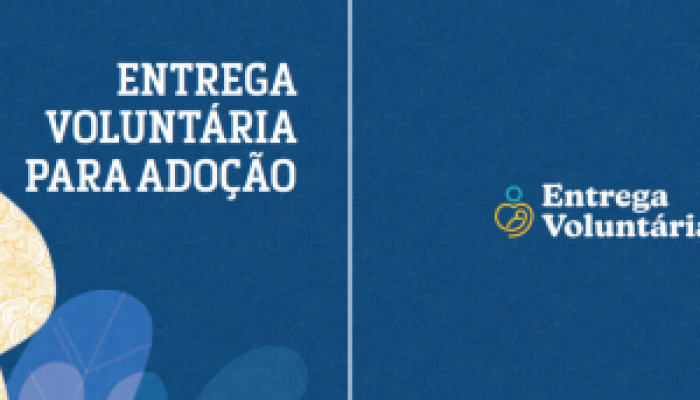 CNJ lança cartilha e juíza comenta processo de entrega voluntária para adoção em MS