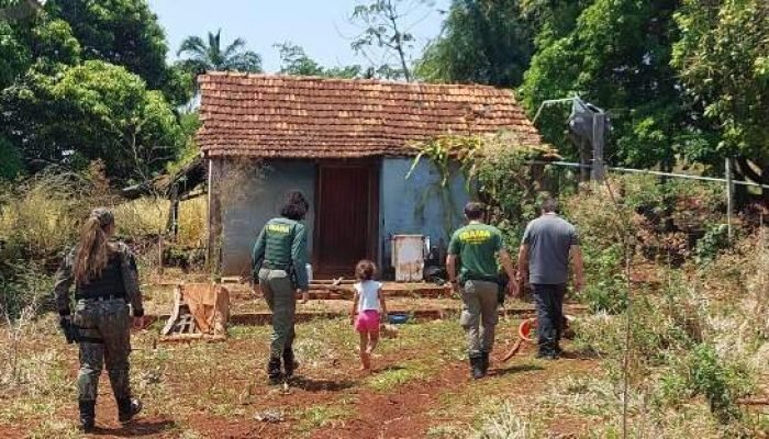 Polícia Ambiental descarta onça na Vila Nasser, mas mantém vigilância