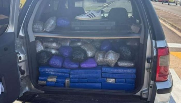 O homem disse ter pego os ilícitos em Coronel Sapucaia — Foto: O homem disse ter