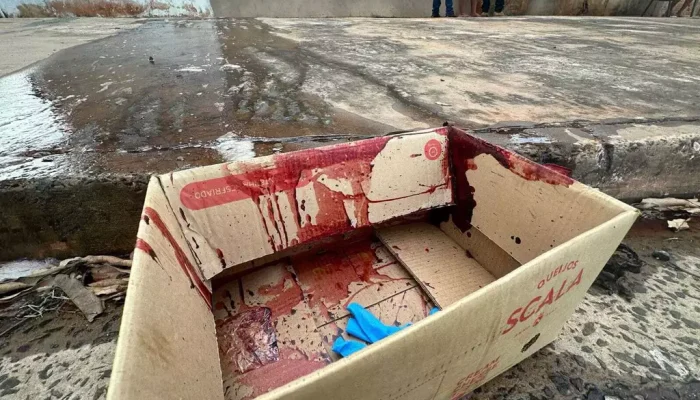 Caixa de papelão com sangue e calçada sendo limpa pela família da vítima (Foto: Marcos Maluf)