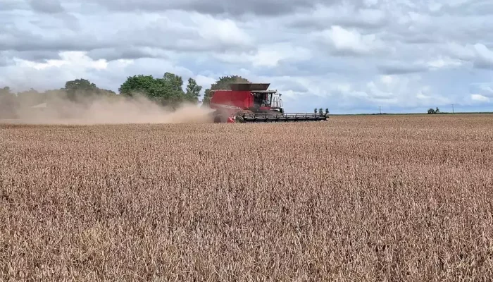 Colheita da safra de soja 2024/2025. (Foto: Aprosoja/MS)