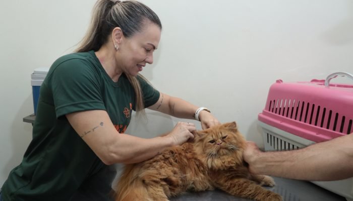 Foto: Foto: Reprodução