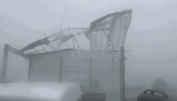 242458021041-capturadetela20241024155813