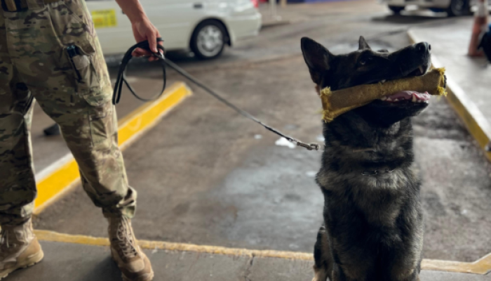 PF intensifica fiscalização na fronteira com o Paraguai em dezembro