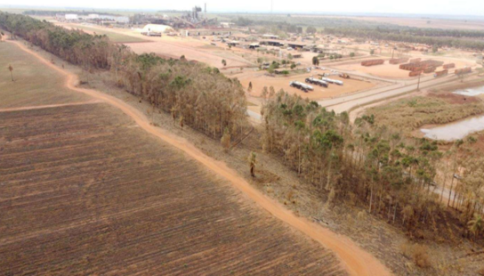 Usina em Angélica é multada em R$ 12 milhões por incêndio