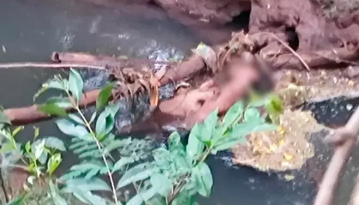 O corpo do homem foi encontrado na tarde desta sexta-feira (3) (Foto: Direto das Ruas)