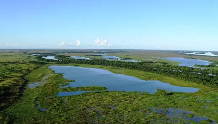 Parque Estadual Várzeas do Rio Ivinhema (Foto: Semadesc, divulgação)