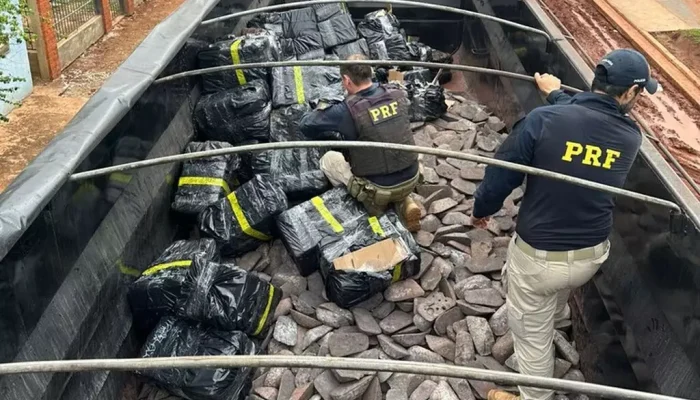 Carregamento apreendido pela PRF durante abordagem na BR-163 (Foto: Divulgação)
