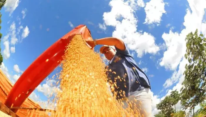Maquinário usado para colher soja (Foto: Álvaro Rezende)