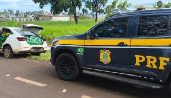 Polícia prende motorista com mais de 1 tonelada de maconha na rodovia BR-262