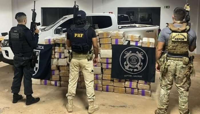 Apreensão de maconha em Naviraí — Foto: (Foto: Divulgação/Polícia Federal)