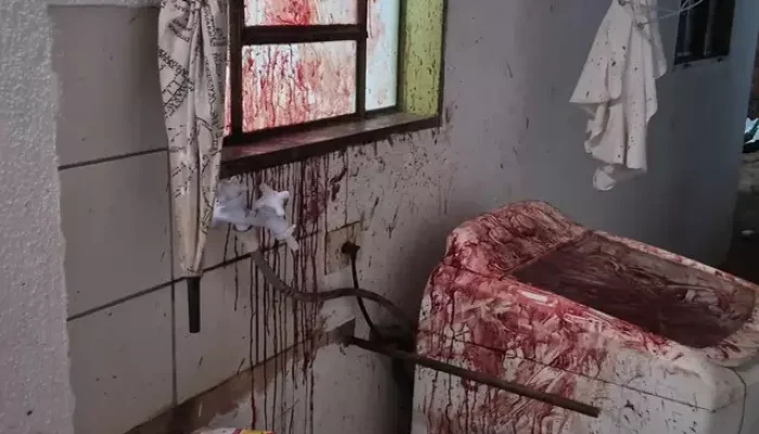 Cachorra Hope sofreu ferimentos graves após quebrar janela para se esconder de f