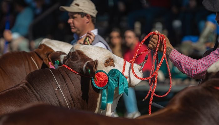 Eventos nacionais e internacionais, crescimento das exposições e avanço das expo
