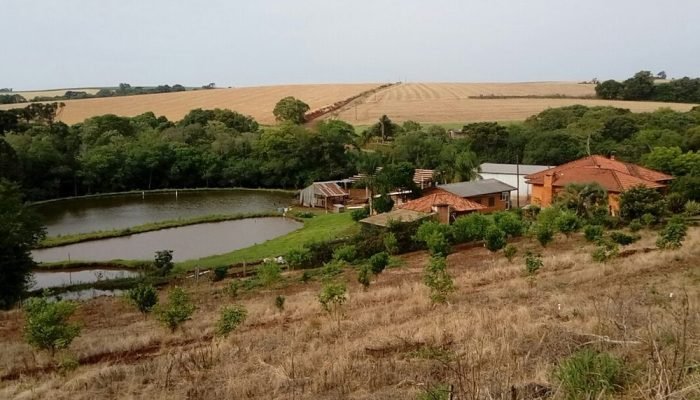 Produtores rurais enfrentam desafios financeiros — Foto: HBS Advogados aponta de