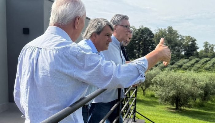 Abertura da Colheita da Oliva — Foto: Evento chega à 14ª edição e será realizado