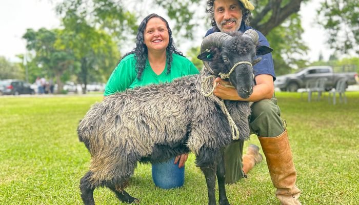 Foto: Evento também recebeu criadores de fora do país como os da raça Corriedale