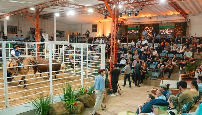 Número de leilões cresce 10% e amplia volume de eventos oficializados pela ABHB